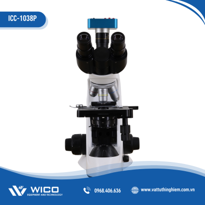ICC-1038P-2.png