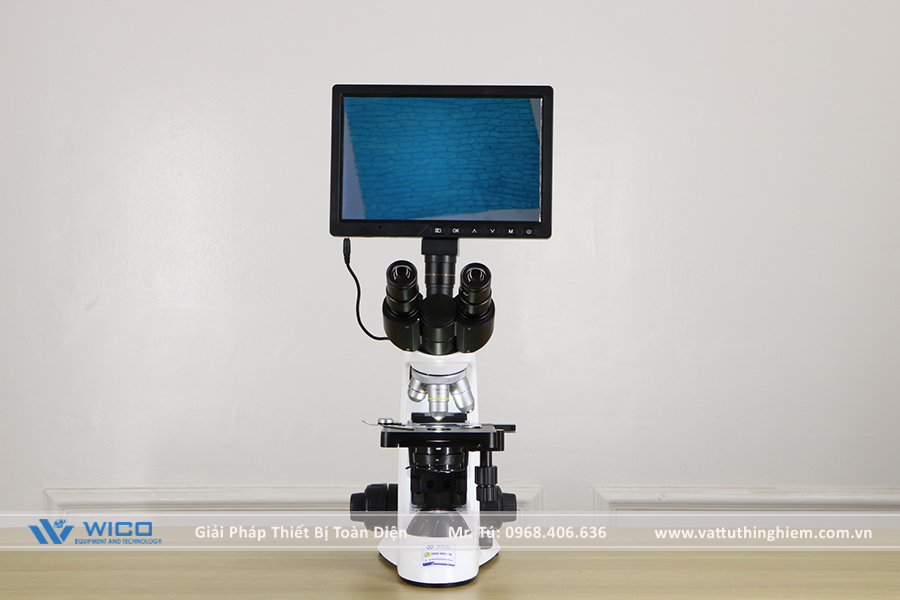 Camera CCD-1016M kết hợp với Kính hiển vi Sinh học ICO-T1000PLi