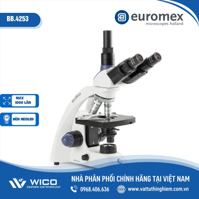 Kính hiển vi 3 mắt 1000X Euromex Hà Lan BB.4253