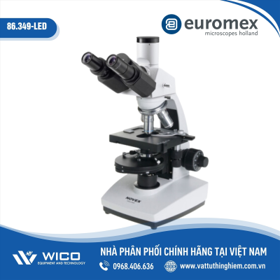 Kính hiển vi phản pha 3 mắt Euromex Hà Lan 86.349-LED (1000X)