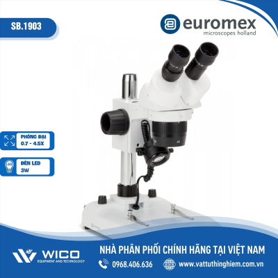Kính hiển vi soi nổi 3 mắt Euromex StereoBlue SB.1903