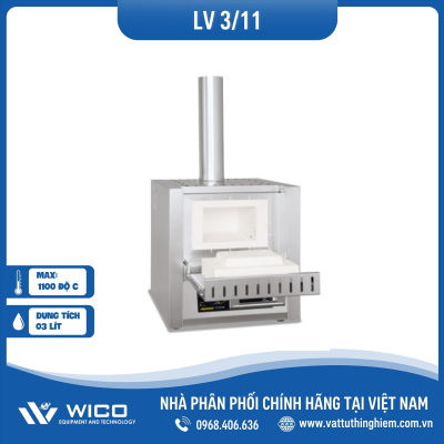 Lò nung đốt tro Nabertherm 3 lít 1100 độ