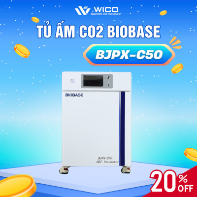 Tủ Ấm CO2 Biobase Màn Hình LCD BJPX-C50