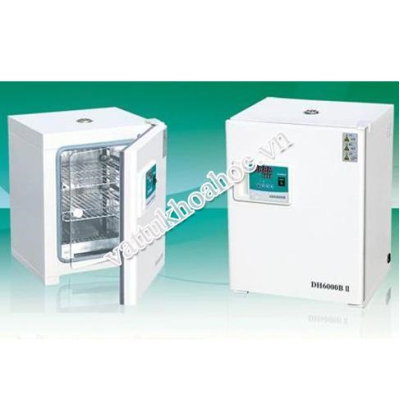 tu-am-hien-so-208-lit-model-dh6000.jpg