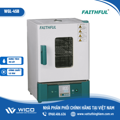 Tủ sấy 300 độ C 45 lít Trung Quốc WGL-45B (Faithful)