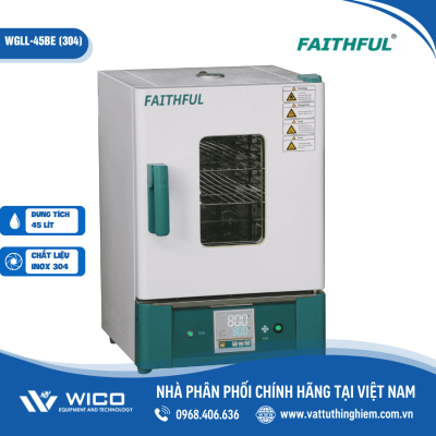 Tủ sấy 300 độ C 45 lít Trung Quốc WGLL-45BE (Faithful)