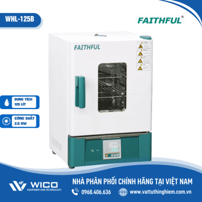 Tủ sấy đối lưu tự nhiên 300 độ C 125 lít Trung Quốc WHL-125B (Faithful)