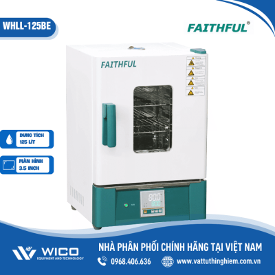 Tủ sấy đối lưu tự nhiên 300 độ C 125 lít Trung Quốc WHLL-125BE (Faithful)