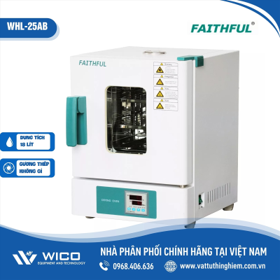 Tủ sấy đối lưu tự nhiên 300 độ C 18 lít Trung Quốc WHL-25AB (Faithful)