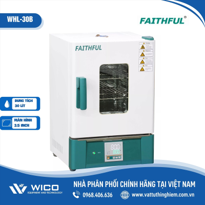 Tủ sấy đối lưu tự nhiên 300 độ C 30 lít Trung Quốc WHL-30B (Faithful)