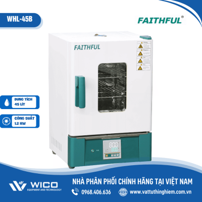 Tủ sấy đối lưu tự nhiên 300 độ C 45 lít Trung Quốc WHL-45B (Faithful)